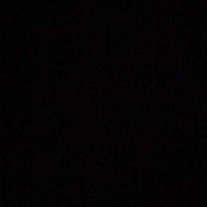 Meet your Posher, Sylvia